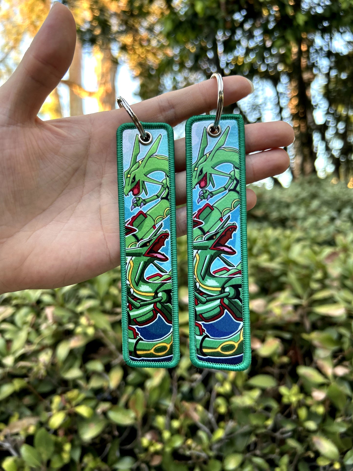 Rayquaza 1.0 Jet Tag